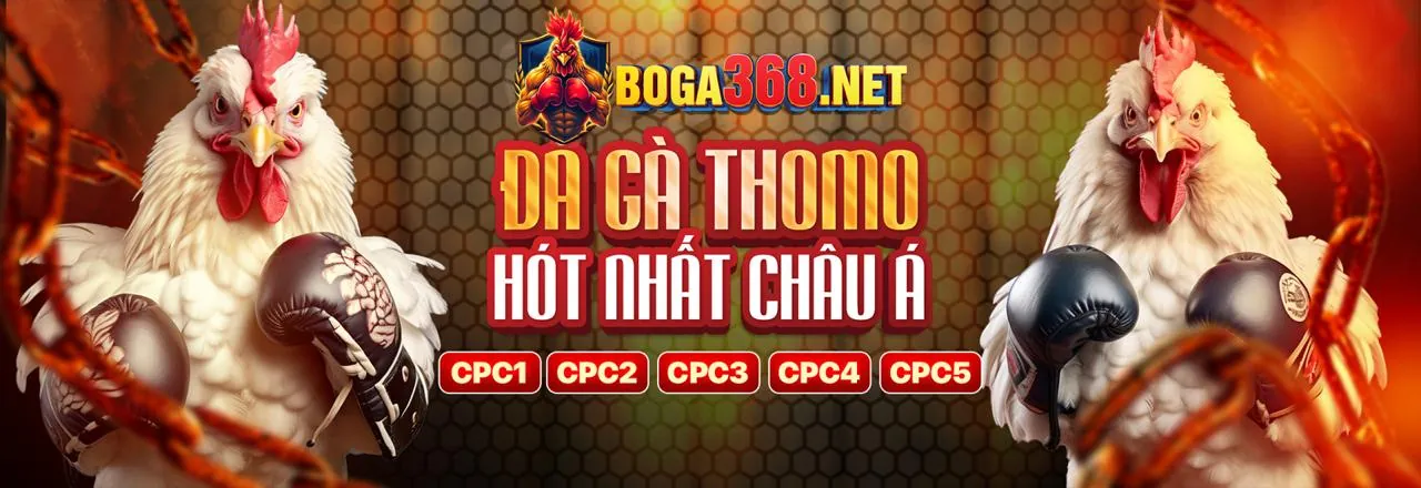 Hình ảnh sân vận động lớn với logo 38win