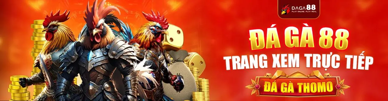 Hình ảnh đá gà kịch tính tại 38WIN